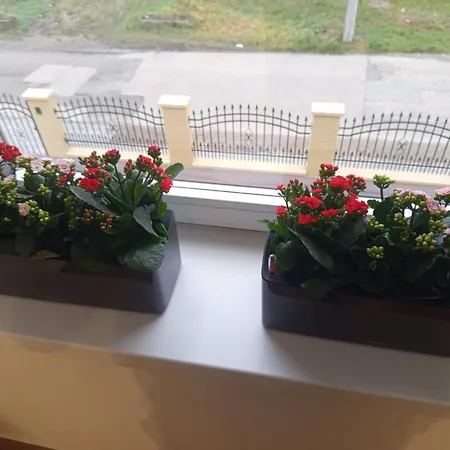 President Apartmanhaz - Nincs Szomszed - Egy Idoben,egy Tarsasag -