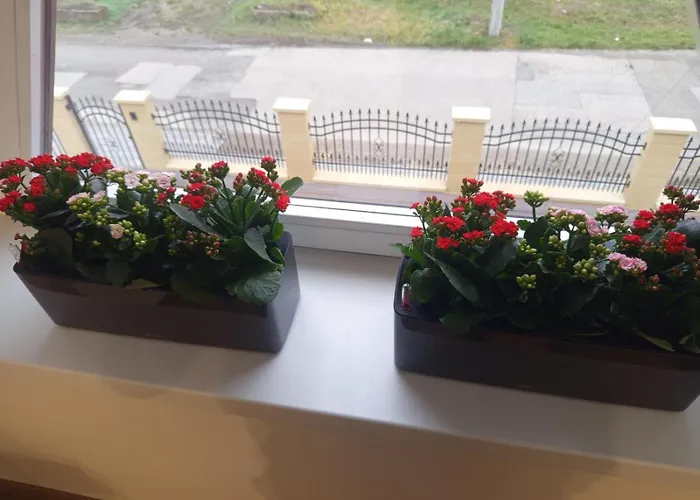 President Apartmanhaz